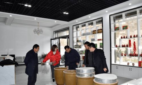 文縣電商中心負責人深入橋頭、天池兩鎮調研，共探電子商務發展新路徑