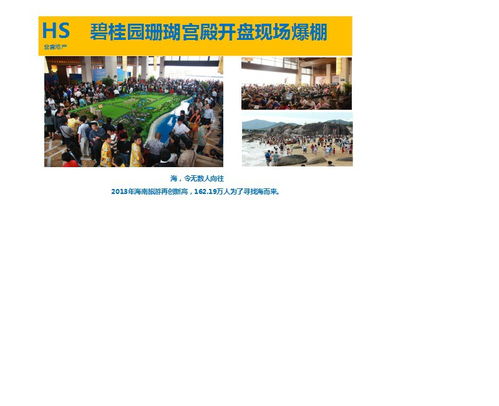 房地產(chǎn)營(yíng)銷策劃精要 市場(chǎng)定位與創(chuàng)新策略之路